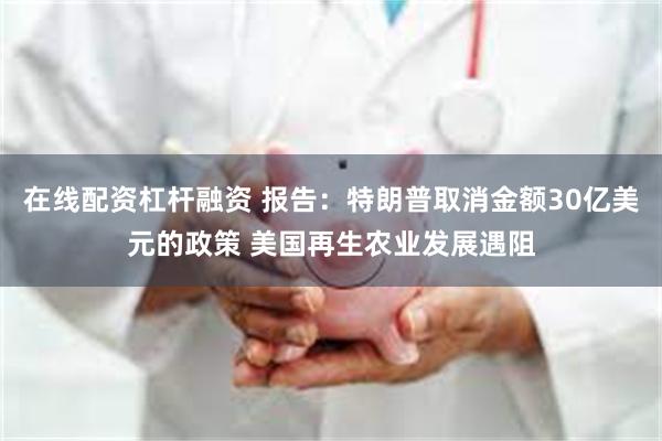 在线配资杠杆融资 报告：特朗普取消金额30亿美元的政策 美国再生农业发展遇阻
