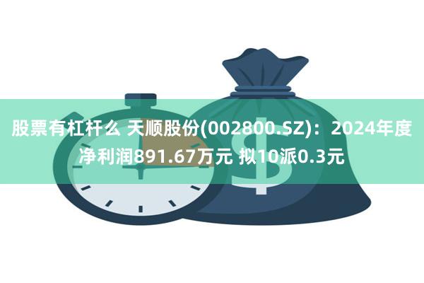 股票有杠杆么 天顺股份(002800.SZ)：2024年度净利润891.67万元 拟10派0.3元