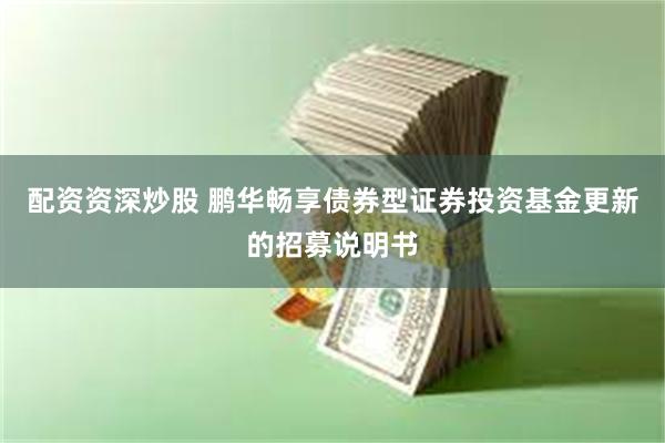 配资资深炒股 鹏华畅享债券型证券投资基金更新的招募说明书