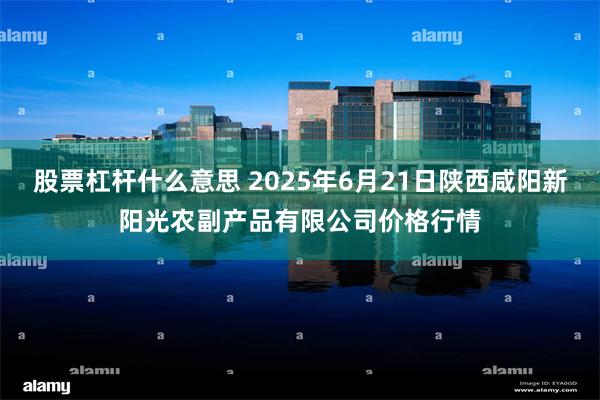 股票杠杆什么意思 2025年6月21日陕西咸阳新阳光农副产品有限公司价格行情