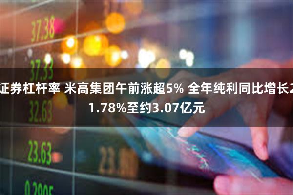 证券杠杆率 米高集团午前涨超5% 全年纯利同比增长21.78%至约3.07亿元