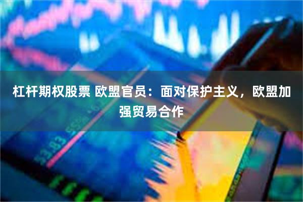杠杆期权股票 欧盟官员：面对保护主义，欧盟加强贸易合作