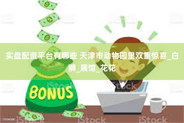 实盘配资平台有哪些 天津市动物园里双重惊喜_白狮_展馆_花花