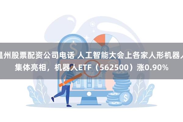 温州股票配资公司电话 人工智能大会上各家人形机器人集体亮相，机器人ETF（562500）涨0.90%