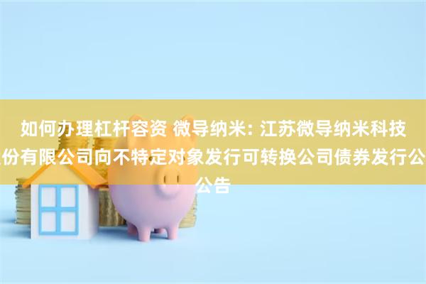 如何办理杠杆容资 微导纳米: 江苏微导纳米科技股份有限公司向不特定对象发行可转换公司债券发行公告