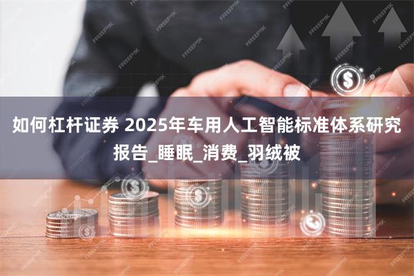 如何杠杆证券 2025年车用人工智能标准体系研究报告_睡眠_消费_羽绒被