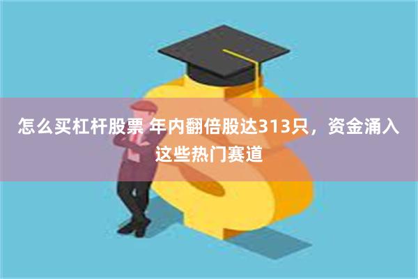 怎么买杠杆股票 年内翻倍股达313只，资金涌入这些热门赛道