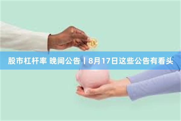 股市杠杆率 晚间公告丨8月17日这些公告有看头